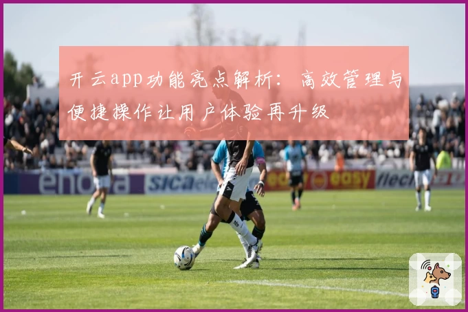 开云app功能亮点解析：高效管理与便捷操作让用户体验再升级